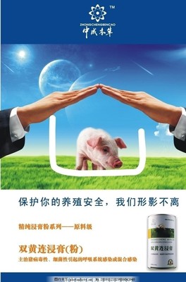 豬養(yǎng)殖產(chǎn)品廣告圖片